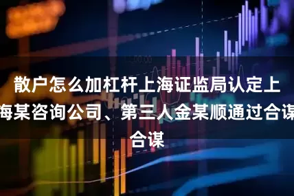 散户怎么加杠杆上海证监局认定上海某咨询公司、第三人金某顺通过合谋