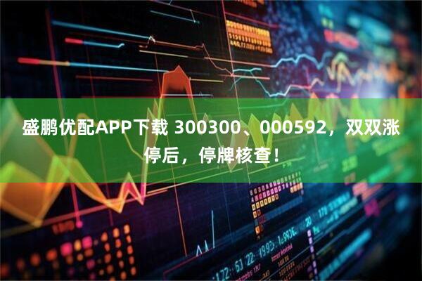 盛鹏优配APP下载 300300、000592，双双涨停后，停牌核查！