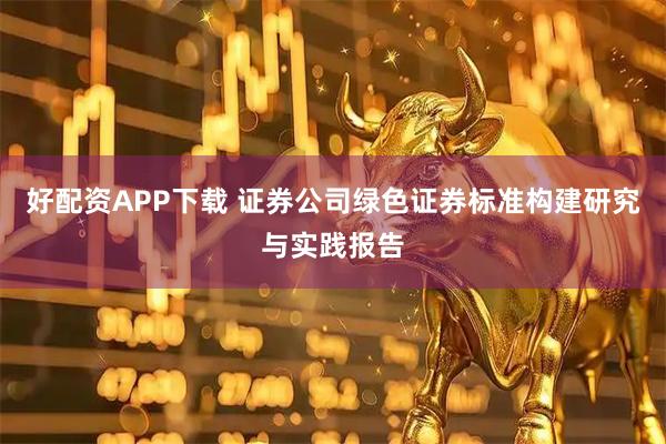 好配资APP下载 证券公司绿色证券标准构建研究与实践报告