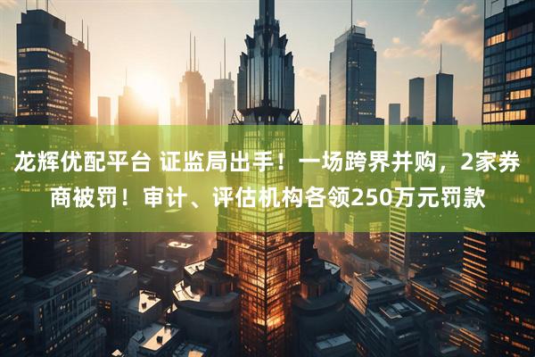 龙辉优配平台 证监局出手！一场跨界并购，2家券商被罚！审计、评估机构各领250万元罚款